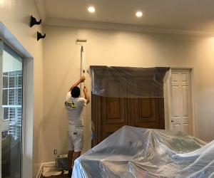 painting contractor Tampa before and after photo 1560369193930_SS13
