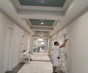 painting contractor Tampa before and after photo 1566307830454_SS16